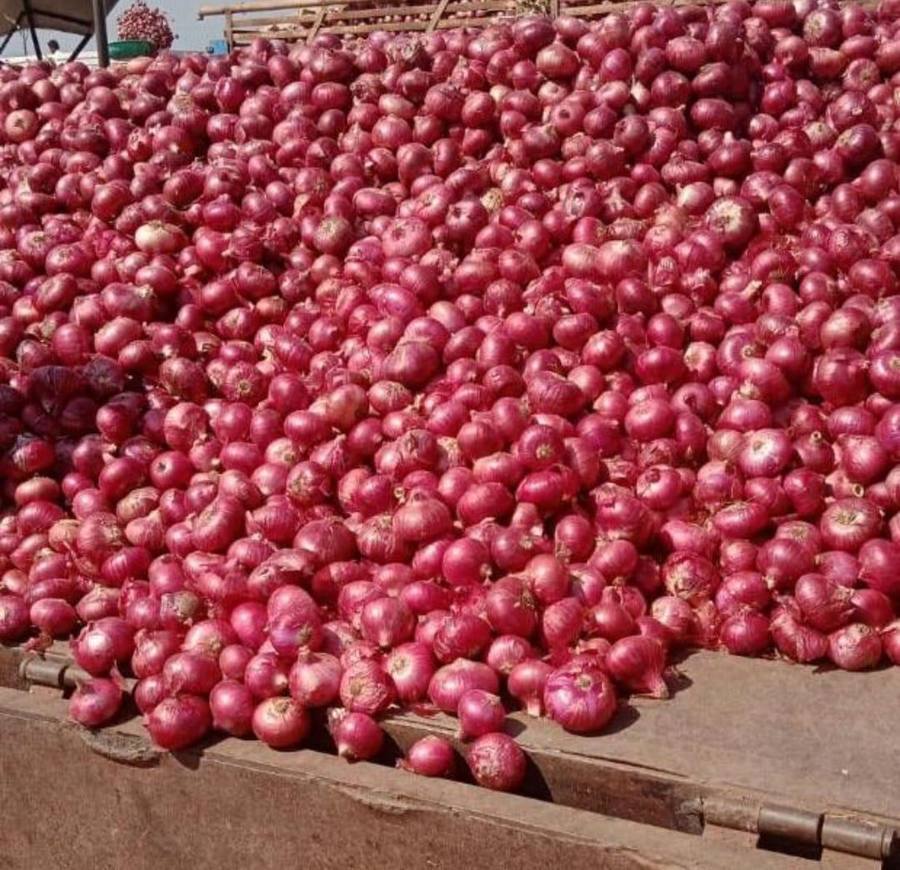 frutnveg 10