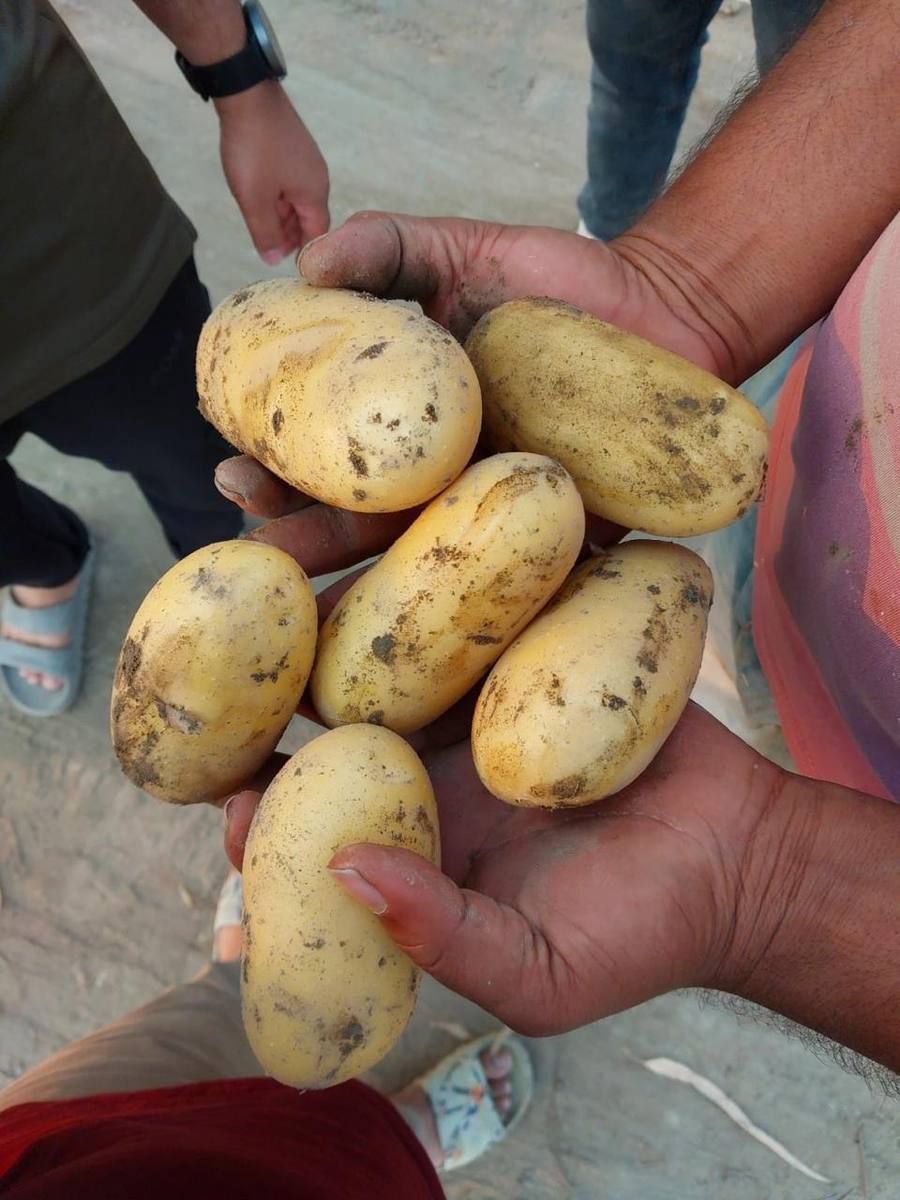 frutnveg 20