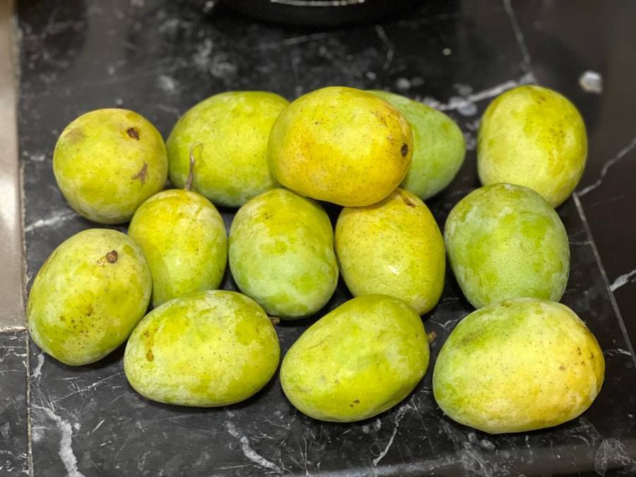 frutnveg 24