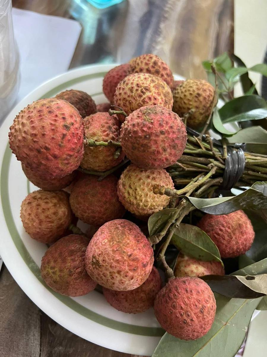 frutnveg 28