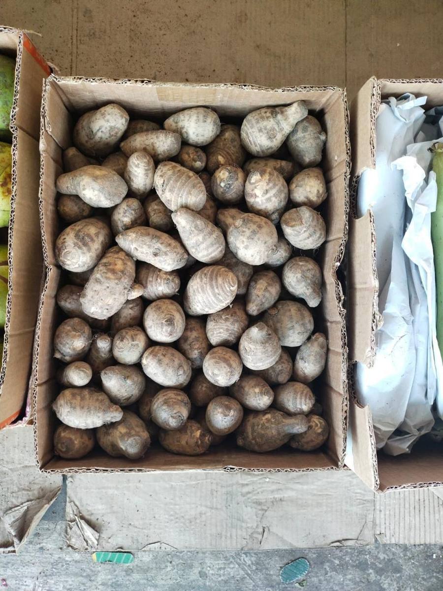 frutnveg 3